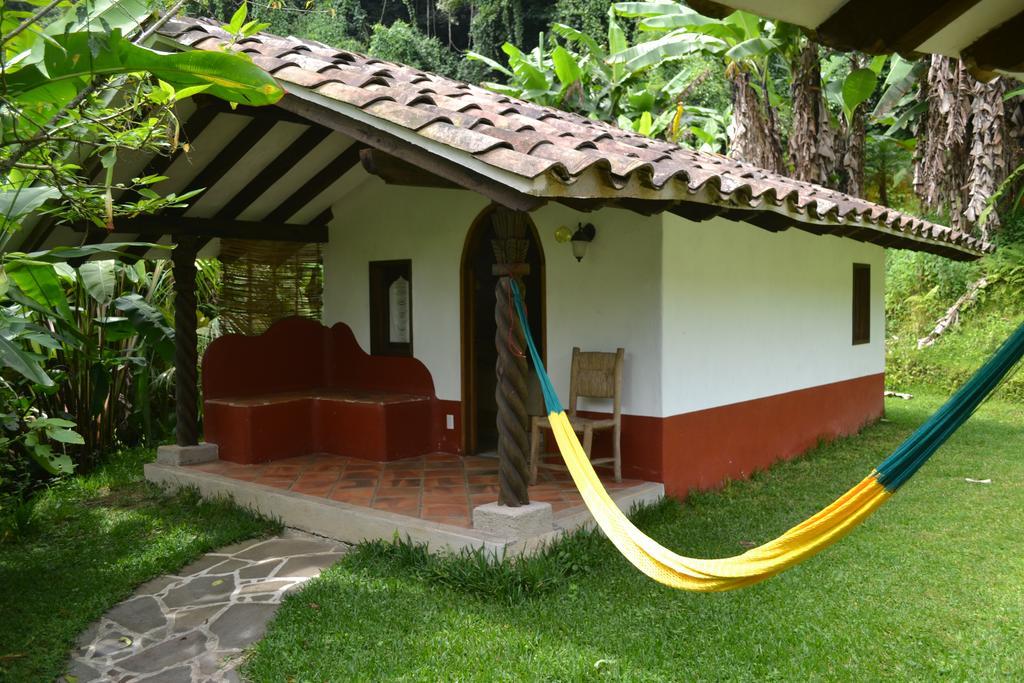 Eco Hotel La Jicarita Coatepec  Exteriér fotografie