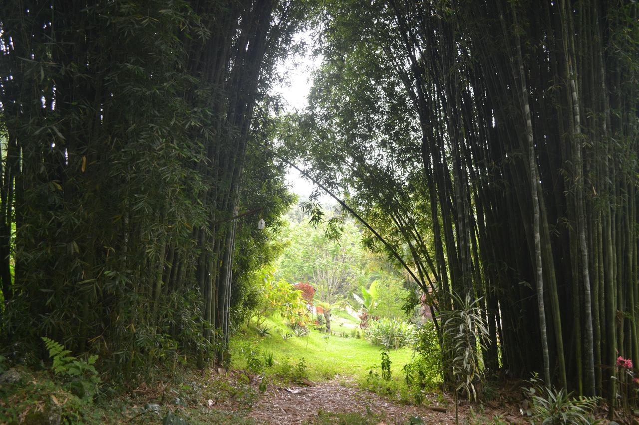 Eco Hotel La Jicarita Coatepec  Exteriér fotografie