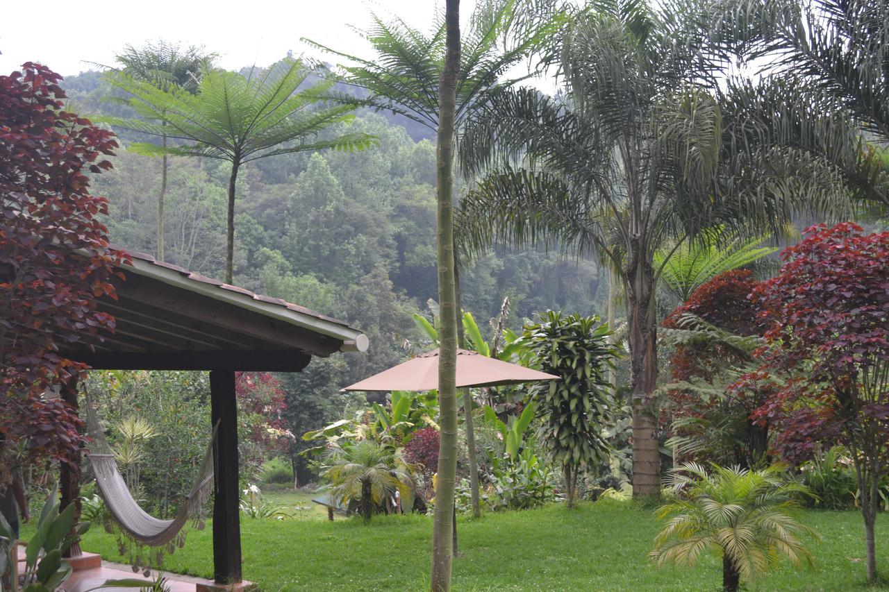 Eco Hotel La Jicarita Coatepec  Exteriér fotografie