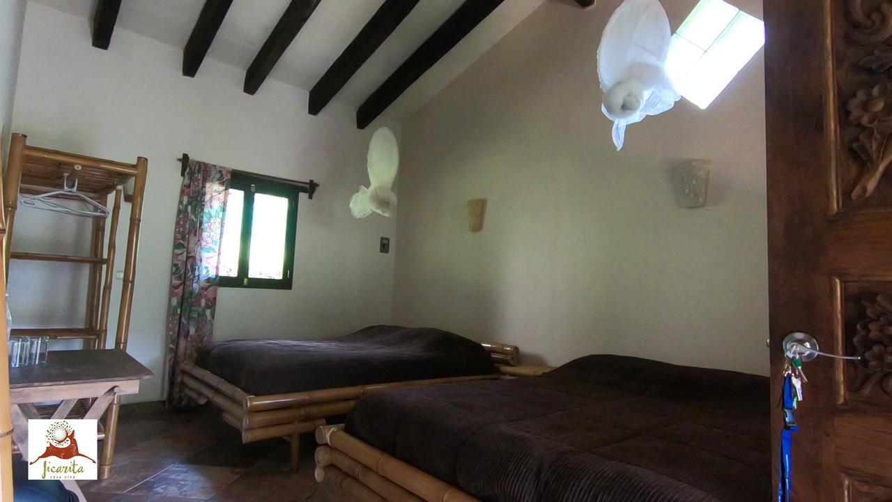 Eco Hotel La Jicarita Coatepec  Exteriér fotografie